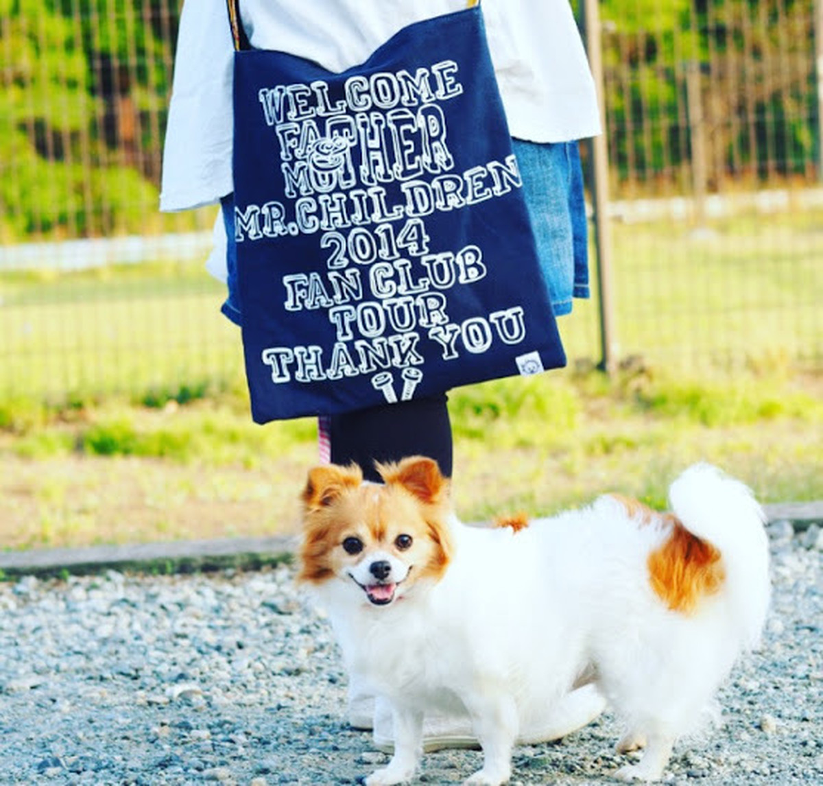 受注生産 オーダー品 Tシャツリメイクショルダーバッグ ウィヴァネストペンギン