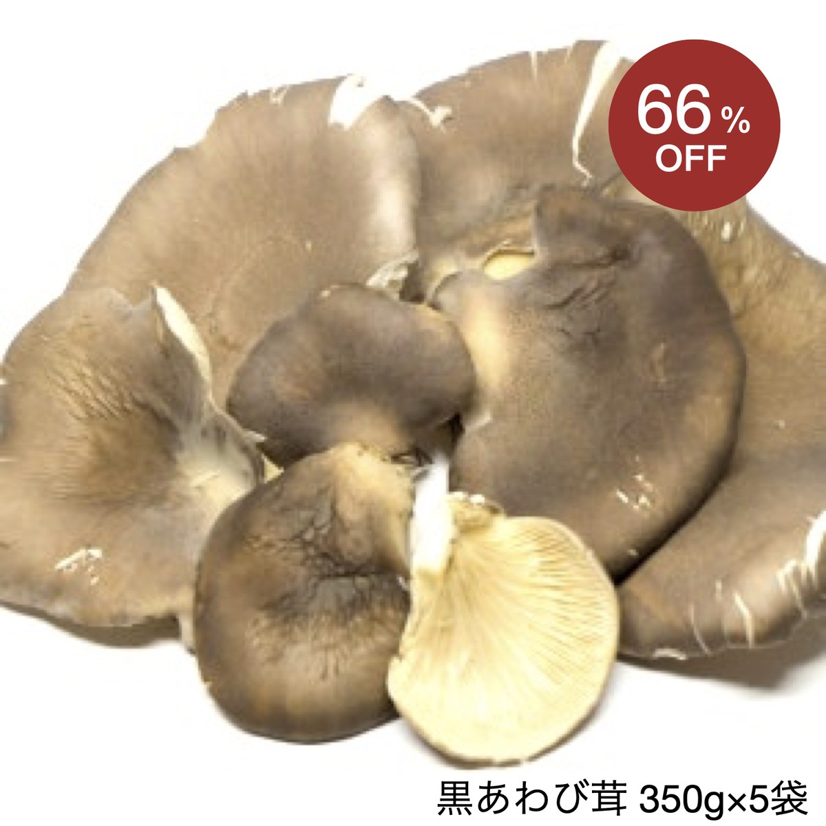 黒あわび茸 乾燥 350g 5袋 長野県産 高級中華食材をお得にレスキュー Tabete レスキュー掲示板