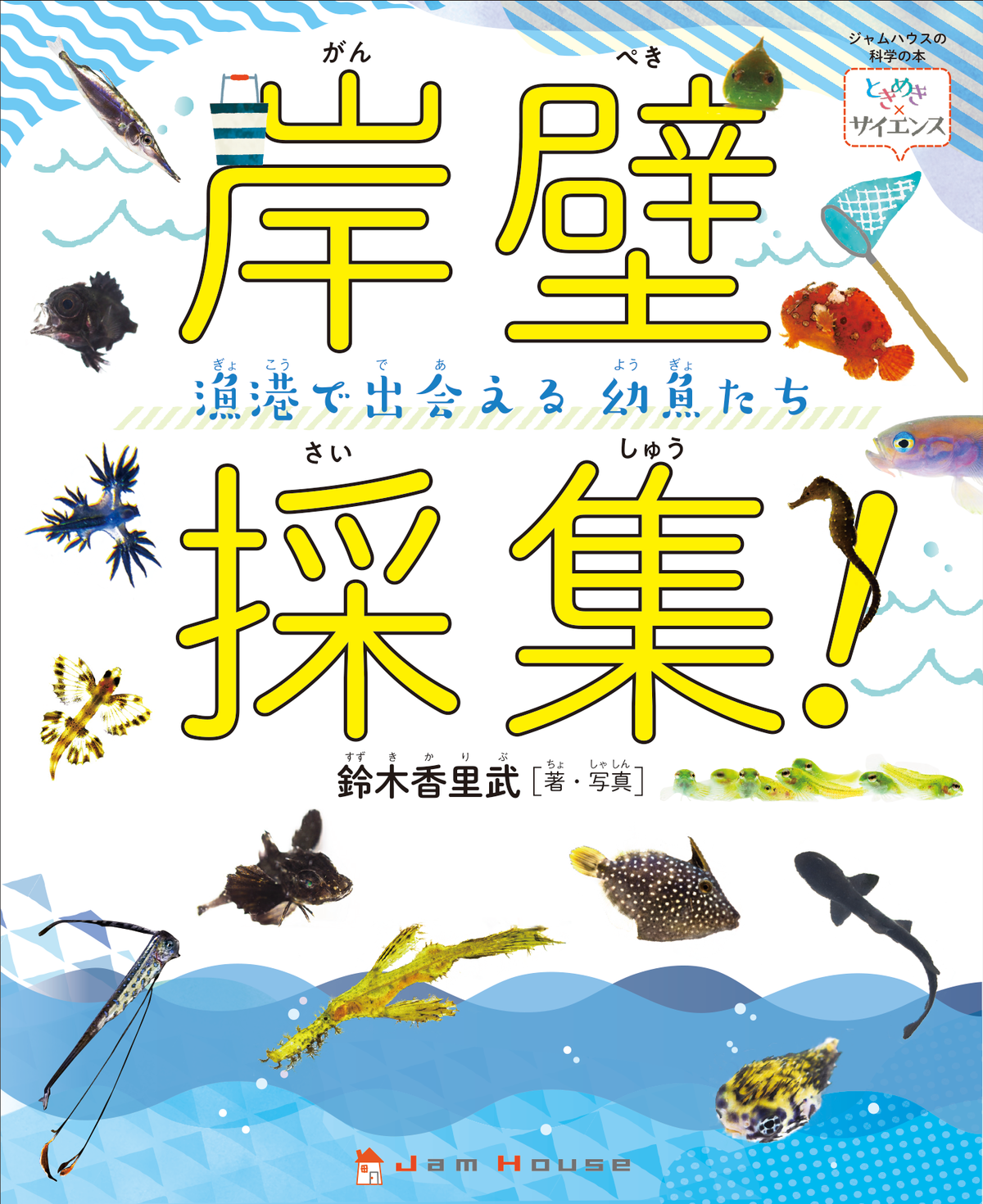 岸壁採集 漁港で出会える幼魚たち ときめき サイエンス シリーズ Jamhouseshop