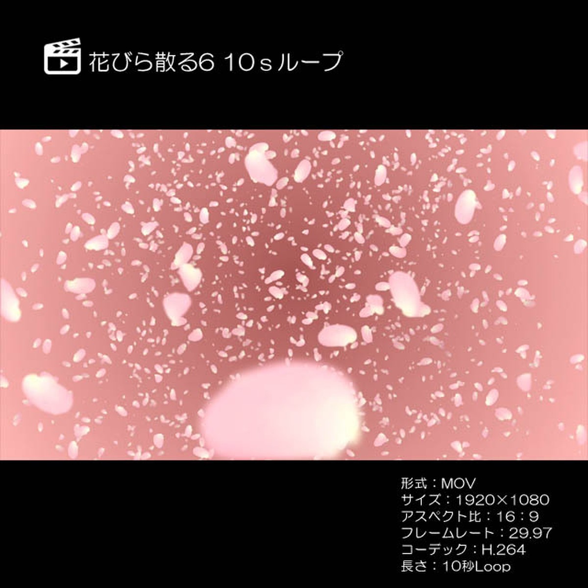 花びら散る6 10sループ 著作権フリーcg映像販売