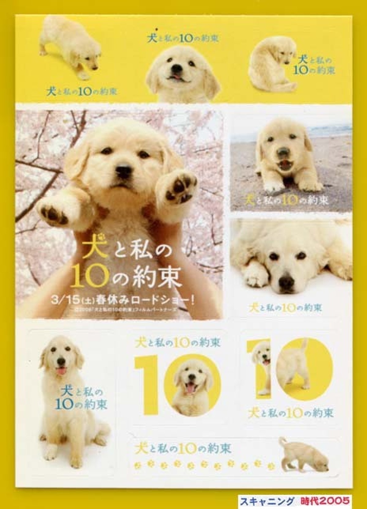 3 犬と私の10の約束 映画チラシ販売 大辞典