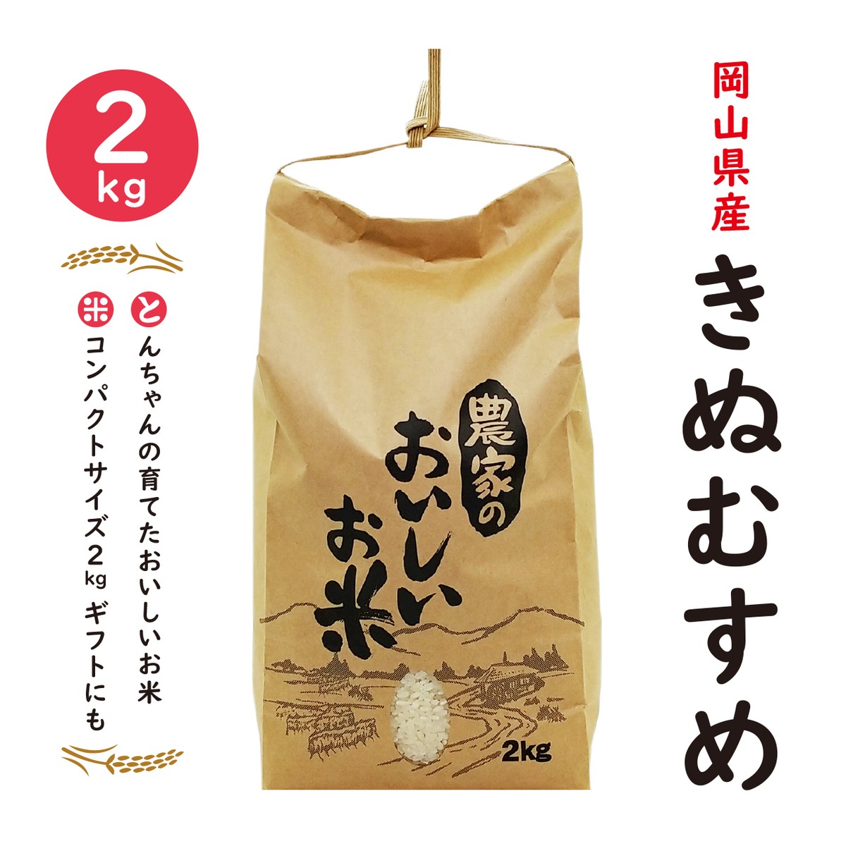 岡山県産 きぬむすめ２kg とんちゃんの育てたおいしいお米 クラフトガーデン