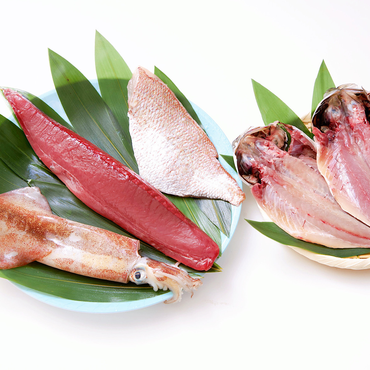 毎週金曜日発送 お魚お任せプラン Shiso 魚で血液クレンジング