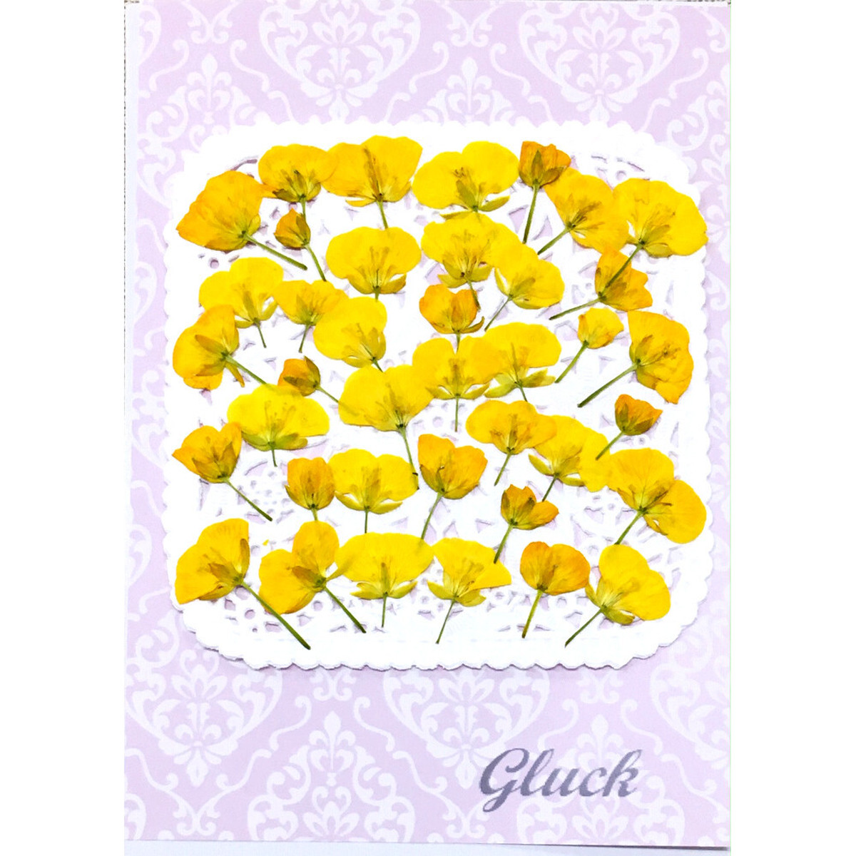 コンパクト押し花 菜の花 少量をパックにしてお届け 押し花素材 増量フェア はなはなぐりゅっけ