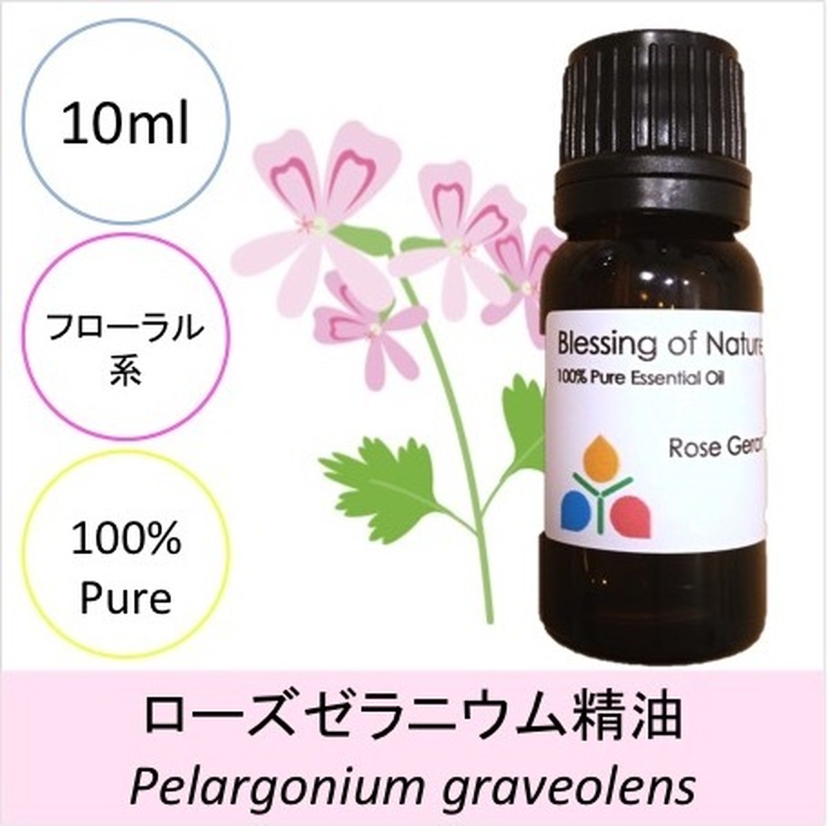 ローズゼラニウム精油 Aroma Herb Planta