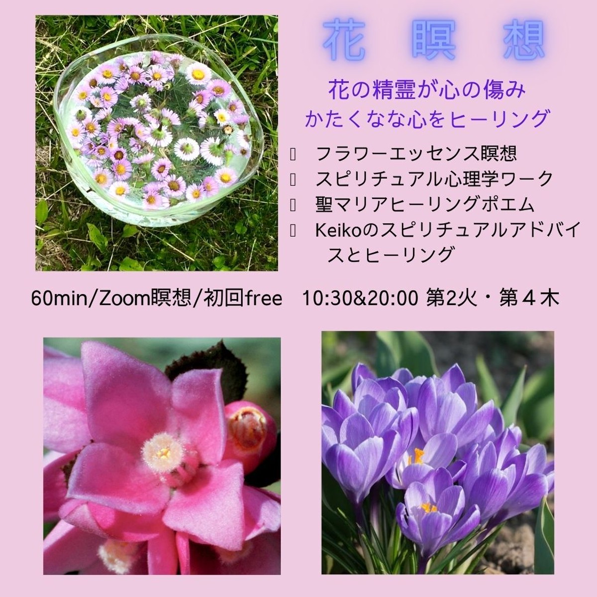 6回回数券 花瞑想 Mariablue