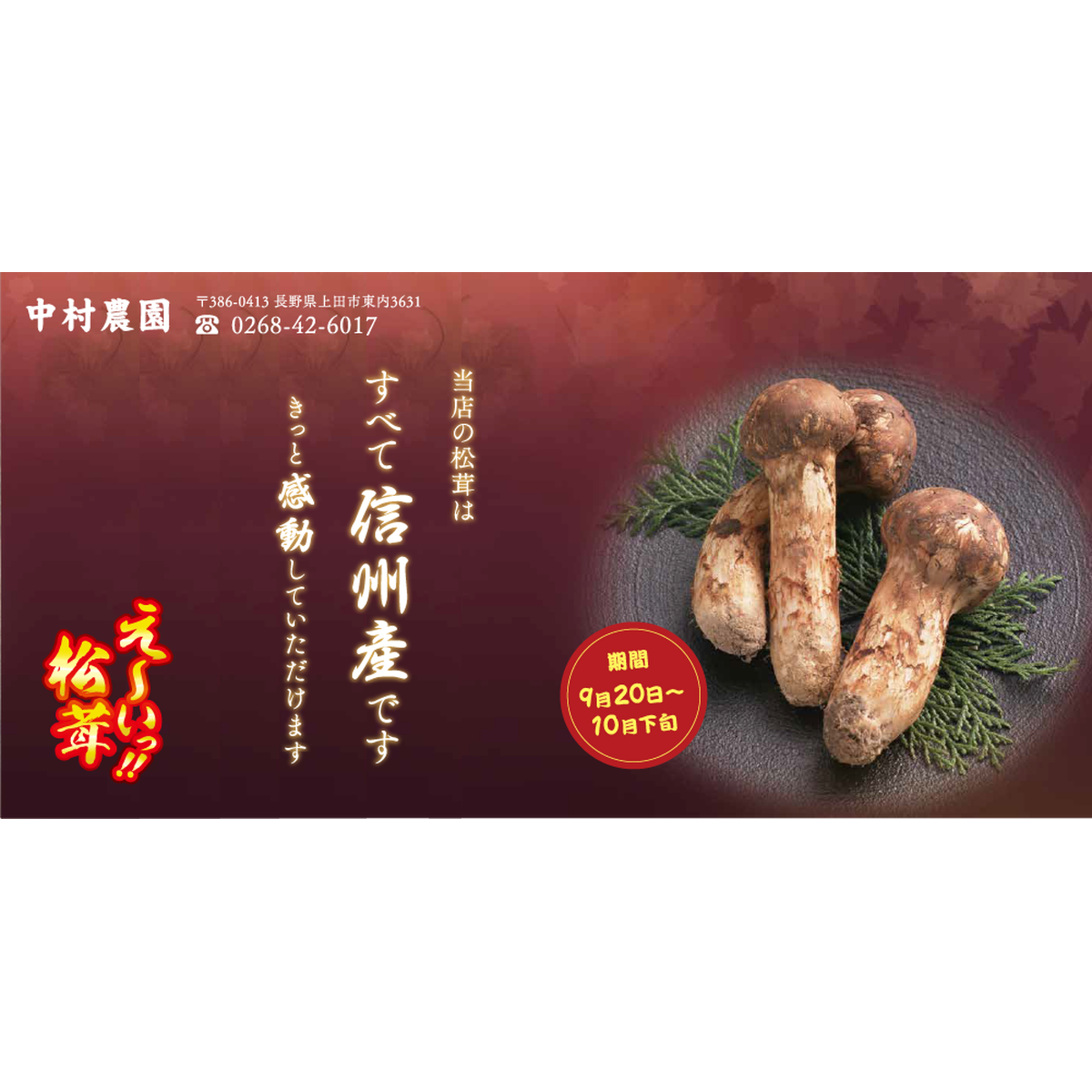 Matsutake10