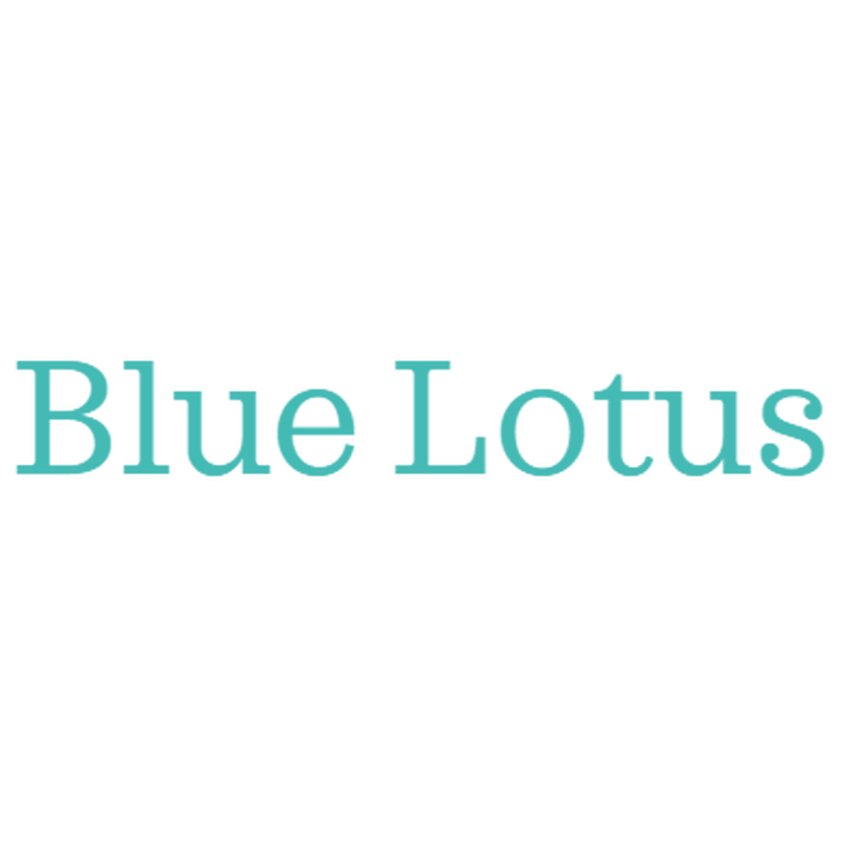 About Blue Lotus サンキャッチャーと癒しの空間