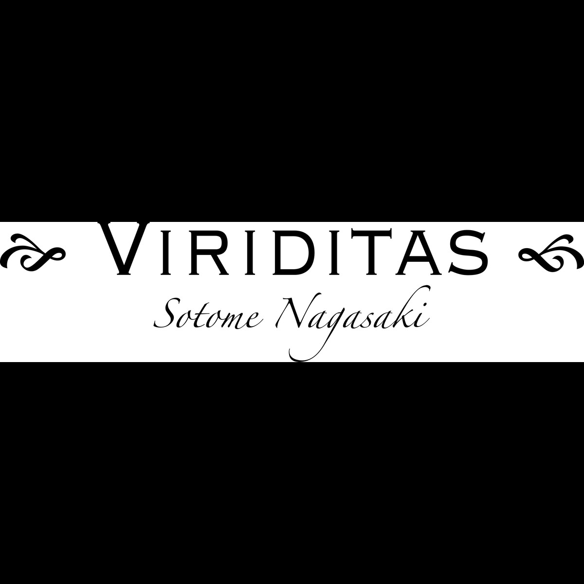 世界に一つの手作りペン Viriditas ヴィリディタス 直販ショップ