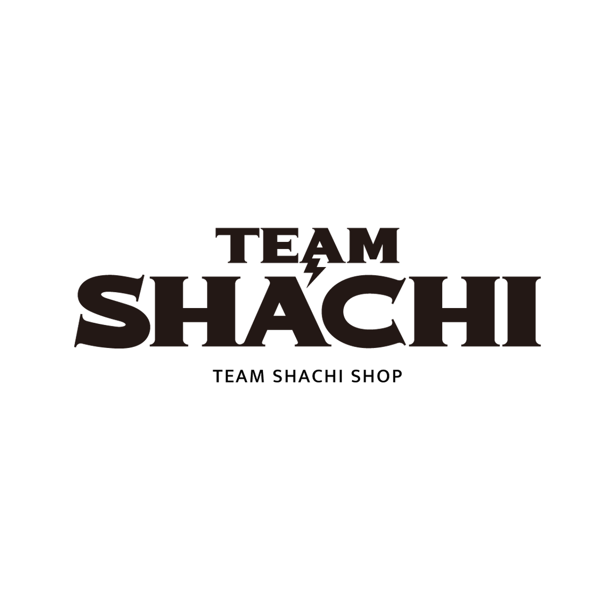 Blog Team Shachi Shop