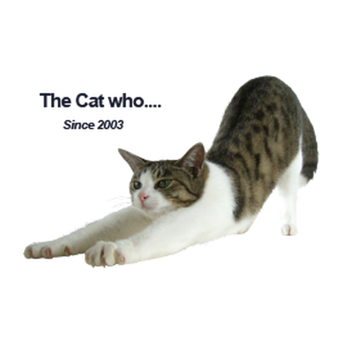 キッチン 食器 調理器具 ネットショップ The Cat Who ザ キャット フー