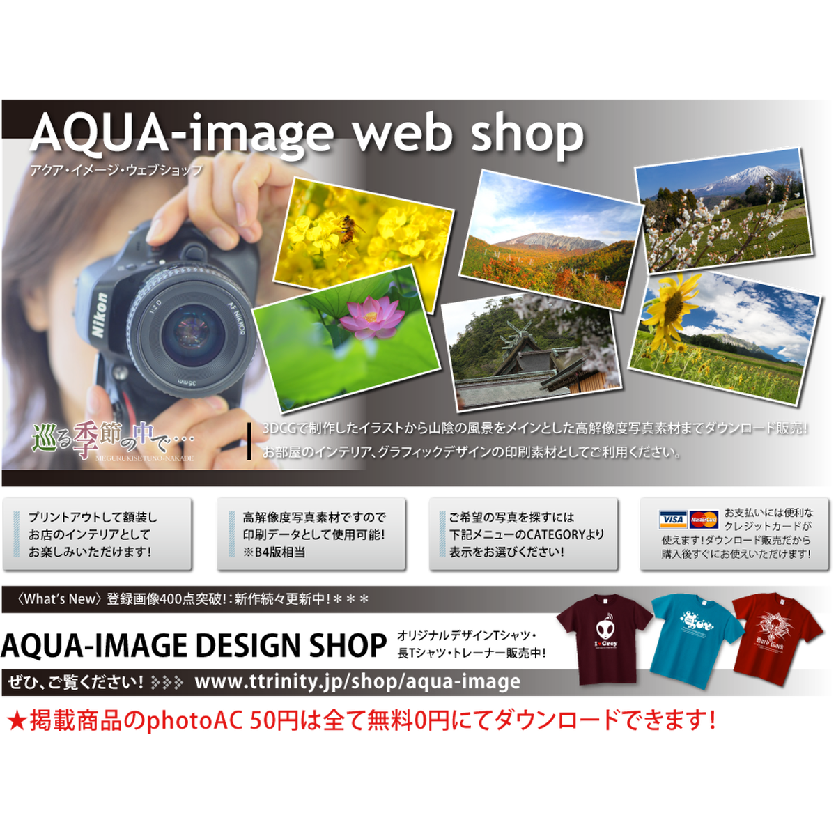 四季の花の写真 Aqua Image Web Shop 高解像度ロイヤリティーフリー写真素材ダウンロードサイト