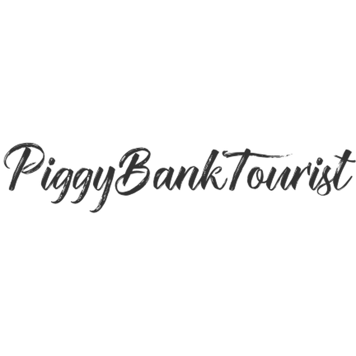 Piggy Bank Tourist