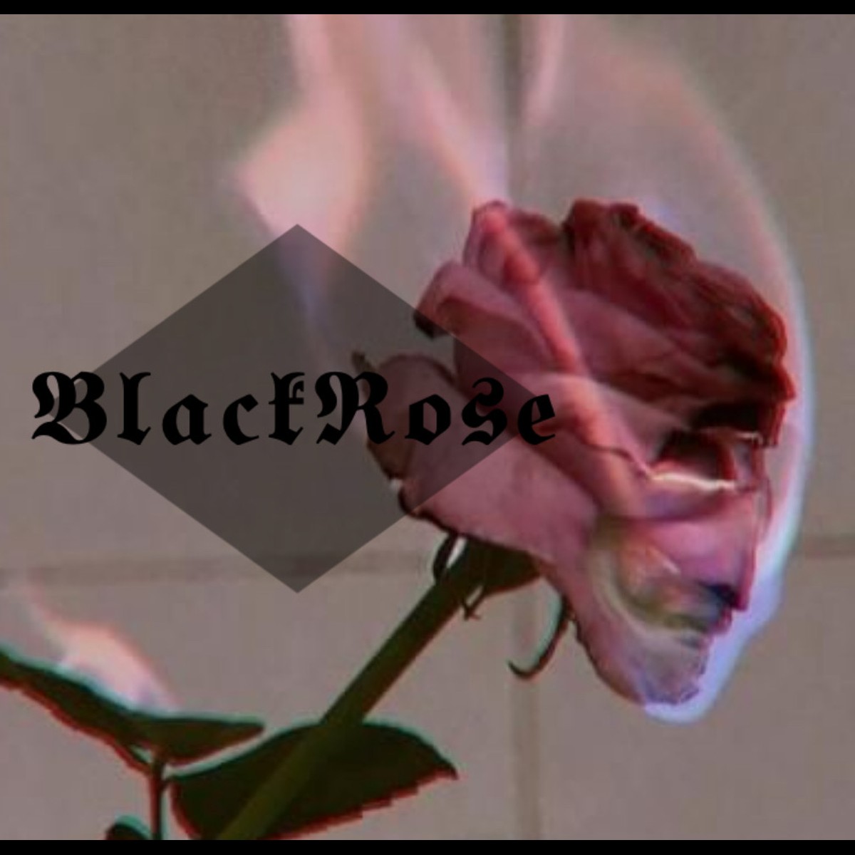 Blackrose