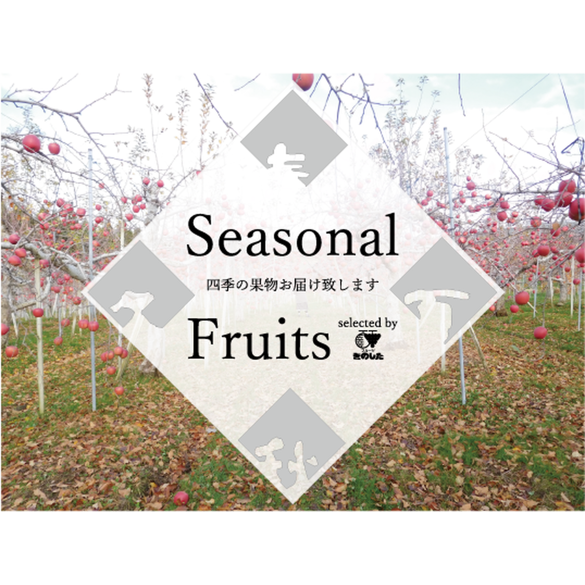 メロン 西瓜 Seasonal Fruits Selected By Fruits Kinoshita