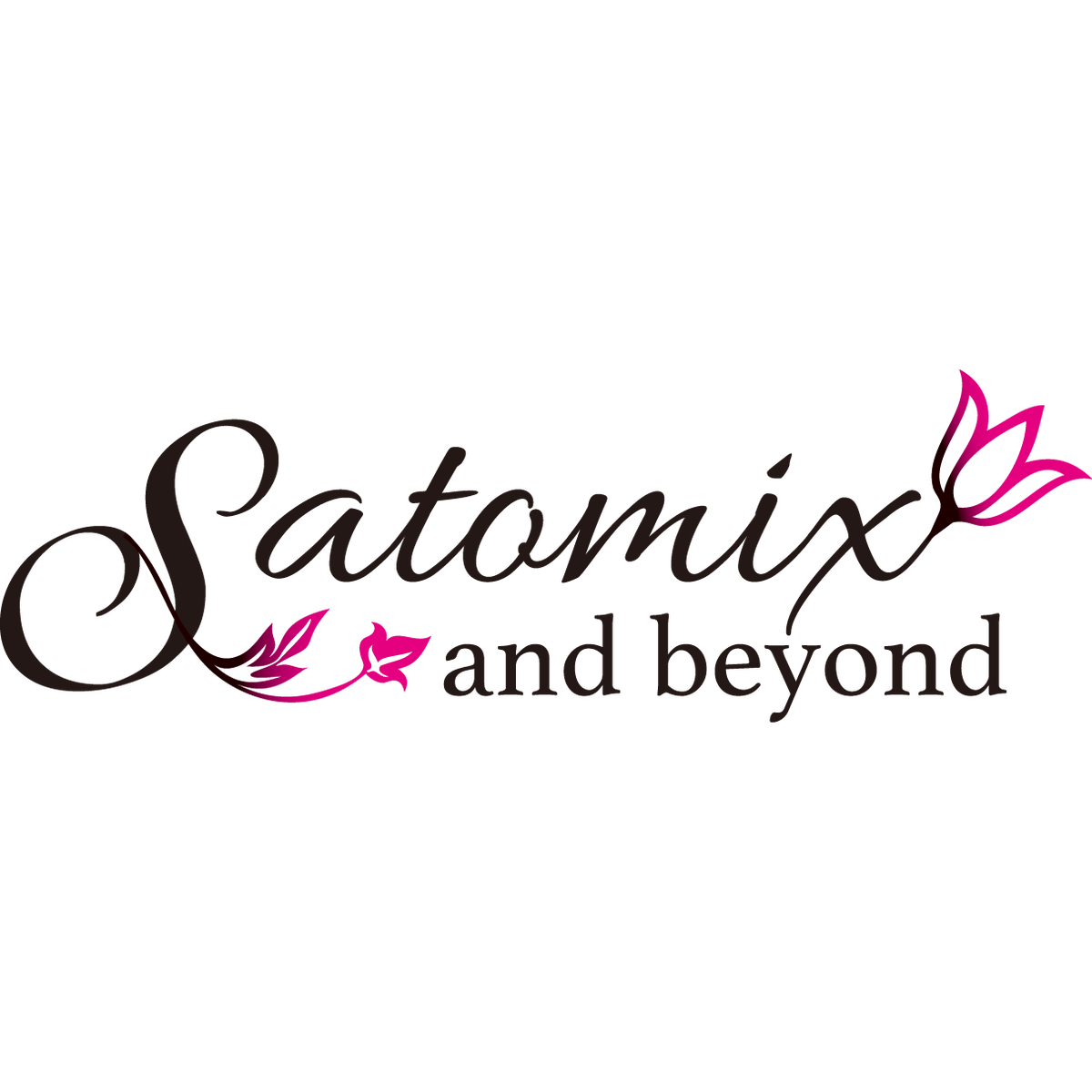 About Satomix And Beyond