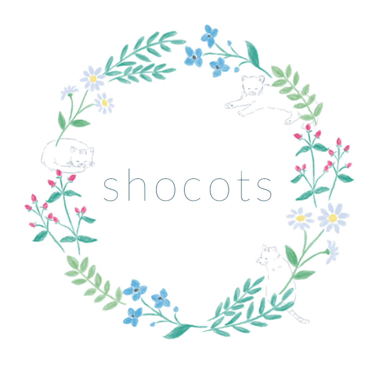 Shocots