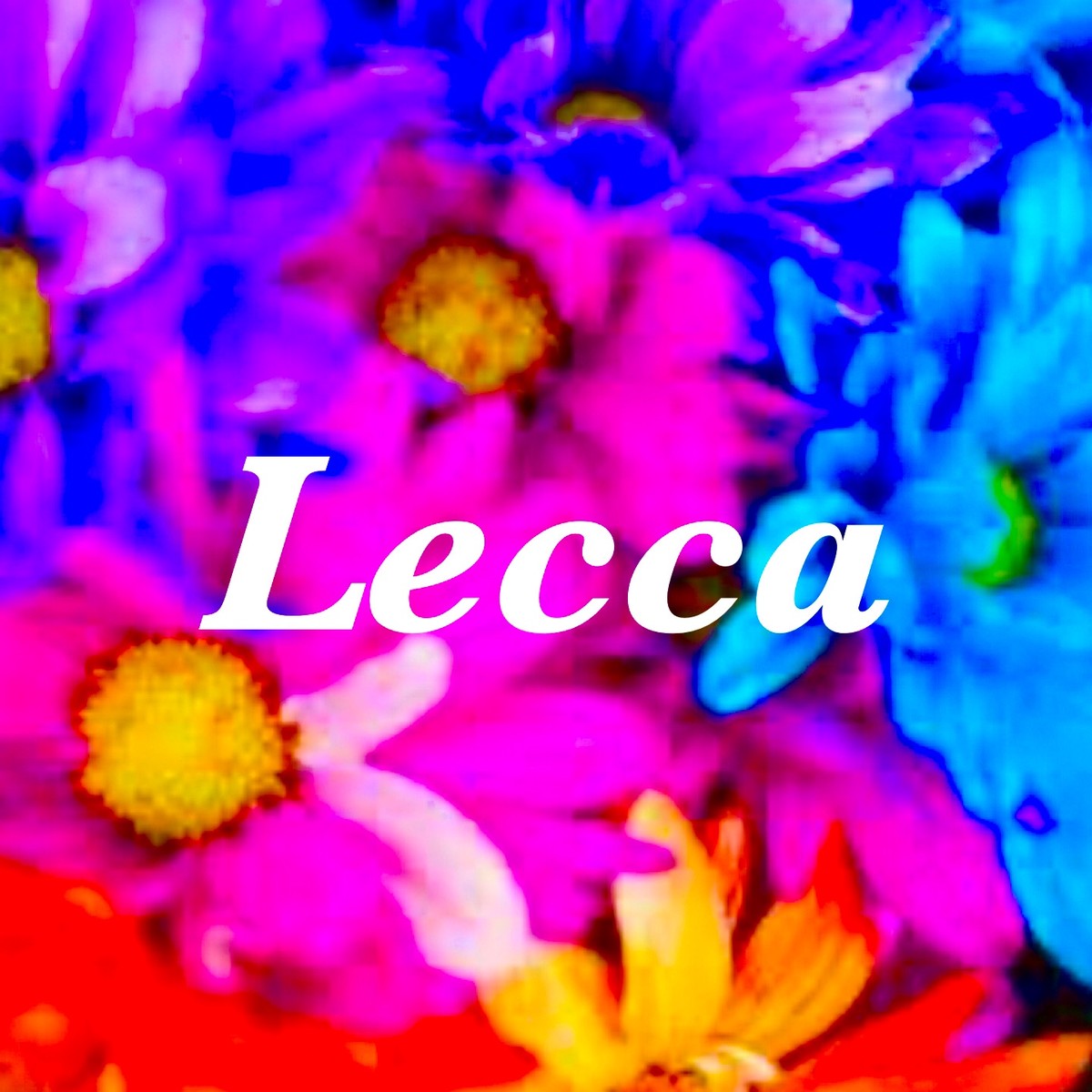 海外baby Kids服 Lecca