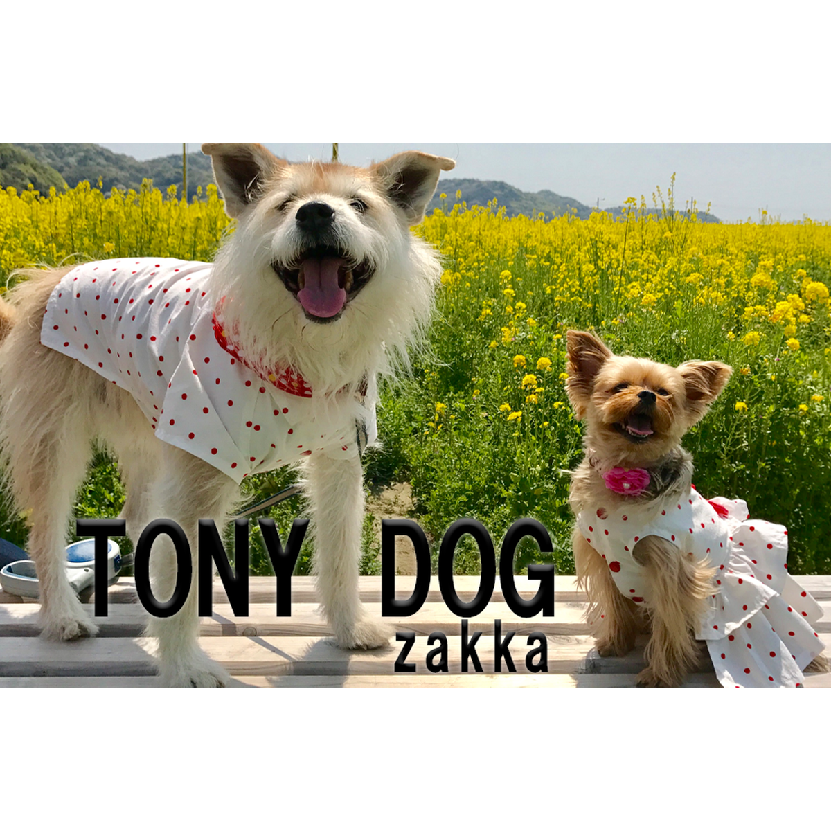 オリジナルグッズ Tony Dog Zakka ハンドメイド犬服と雑貨のお店