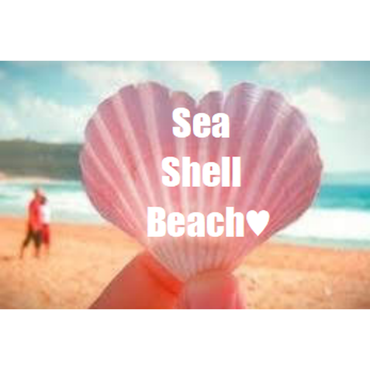 Sea Shell Beach