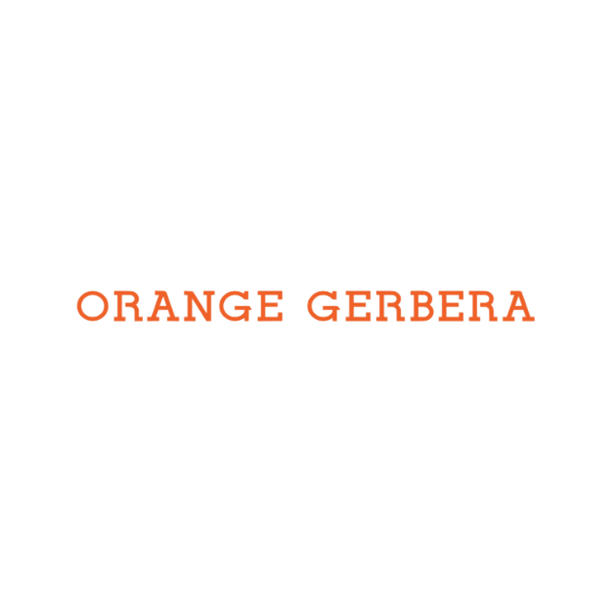 Orange Gerbera オレンジガーベラ 三軒茶屋のレディース メンズ古着通販