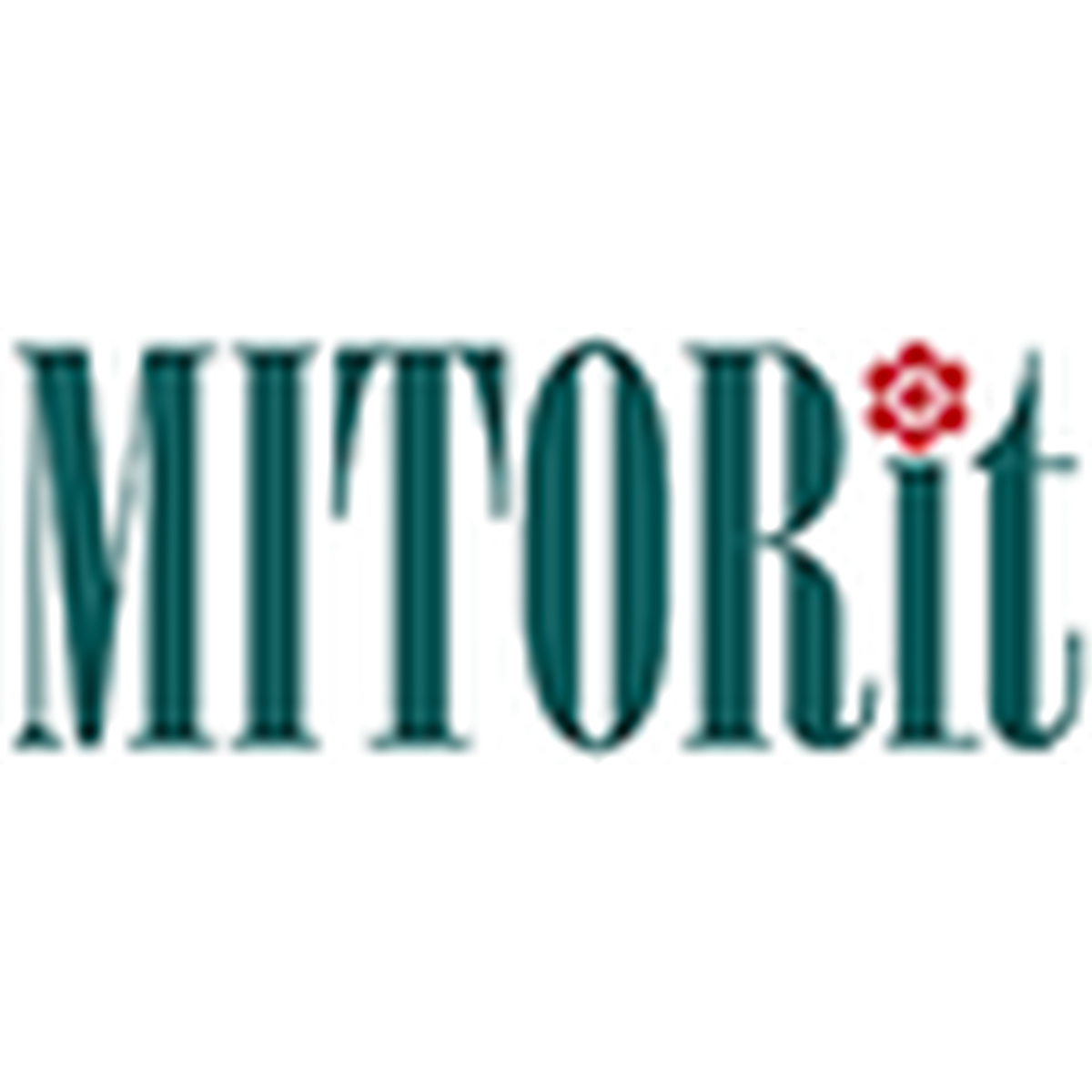 キーホルダー 組紐アクセサリーmitorit