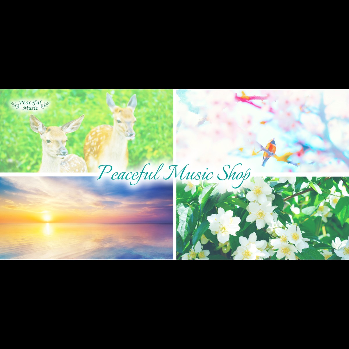 ピースフルミュージックショップ ヒーリングミュージックcd 楽譜 演奏会チケット販売 楽曲制作