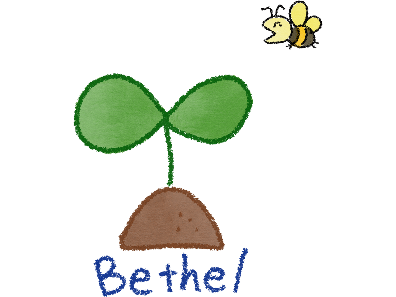 新商品 Bethel Neue 新商品 Bethel Neue
