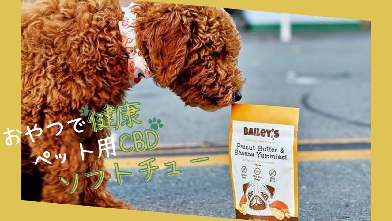 犬用ヴィーガンおやつ そふとちゅ ピーナッツバター バナナ味 30個入 Baileyscbd