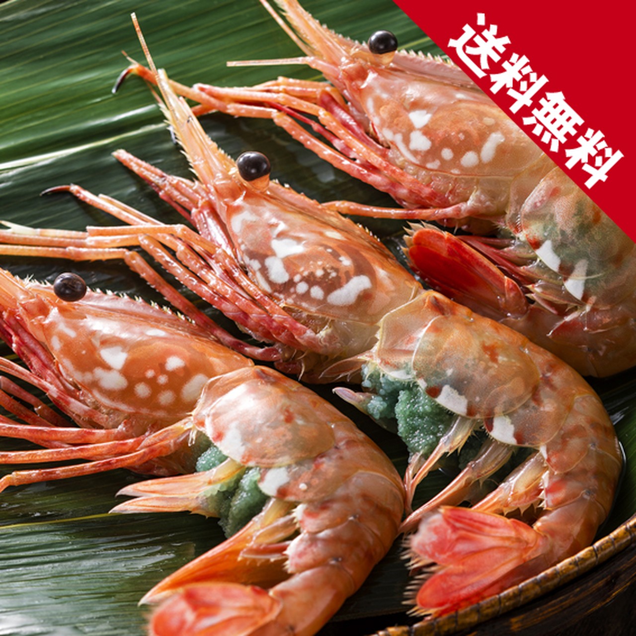 【送料無料】北海道噴火湾産 秋獲れぼたん海老(活詰め/プロトン凍結)