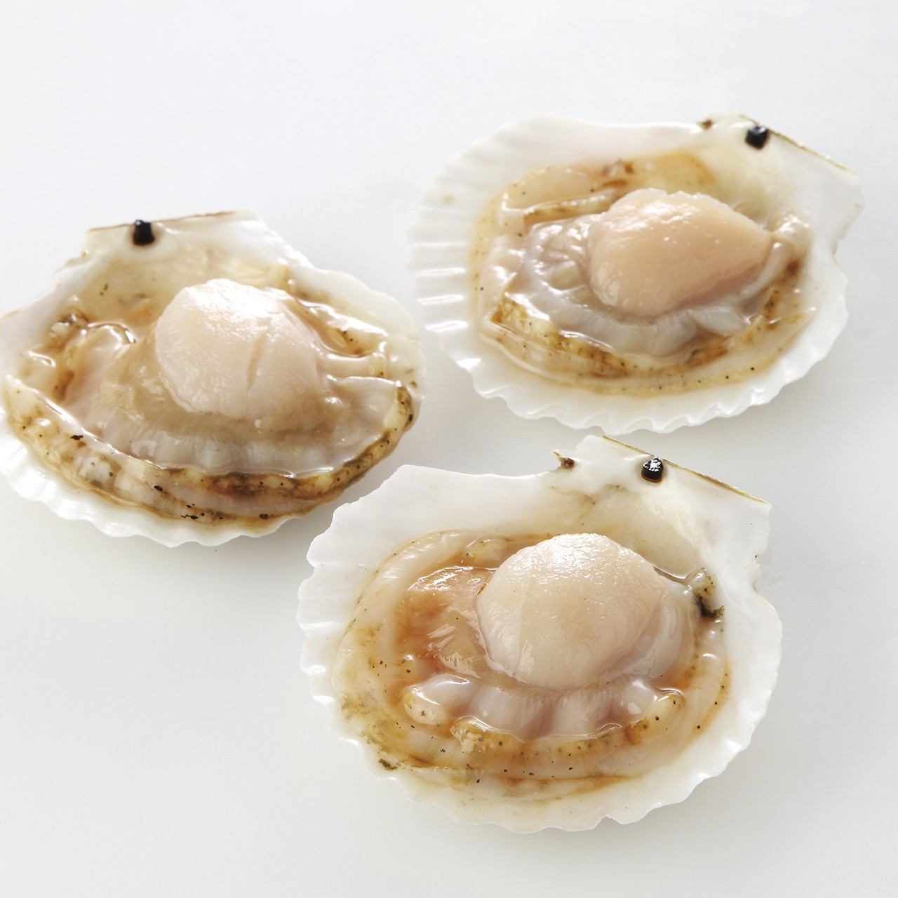 【送料無料】お刺身帆立ハーフシェル(10枚入)