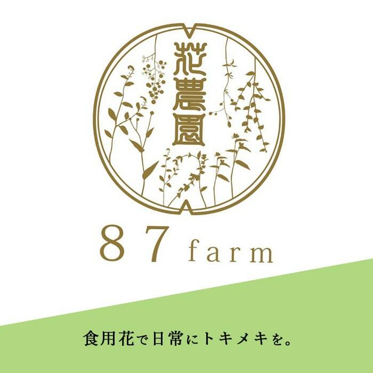 【87farm】食べられる ドライフラワー(ビオラ ミックス)