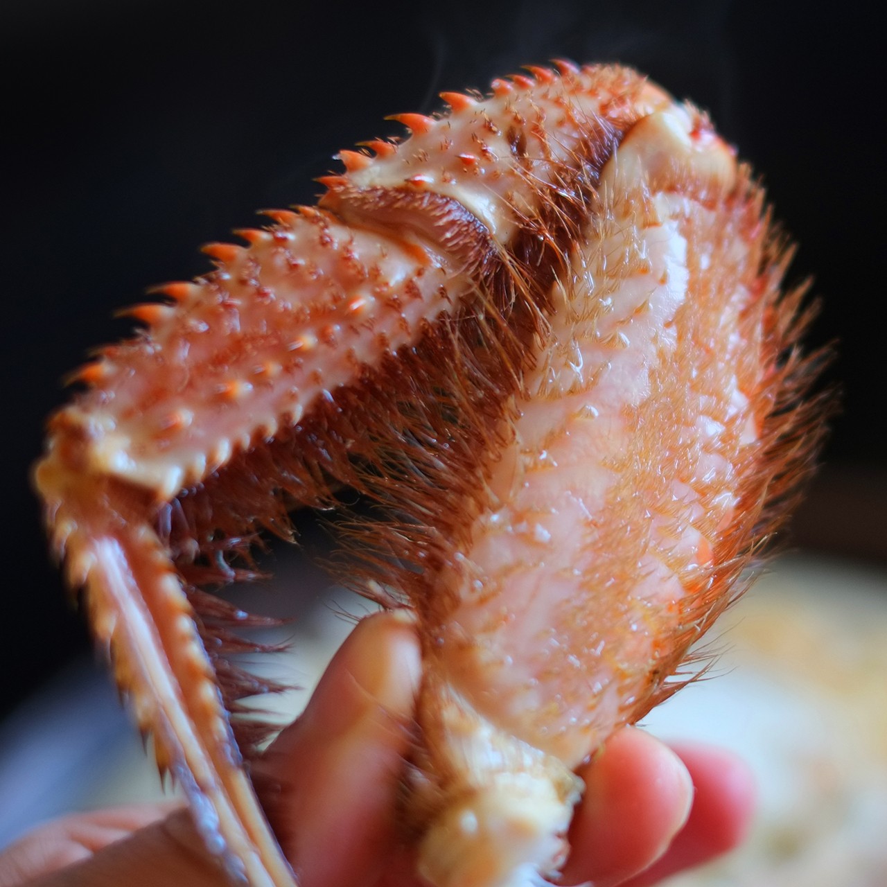 【送料無料】北海道噴火湾産 浜茹で毛蟹/平均660g(プロトン凍結)
