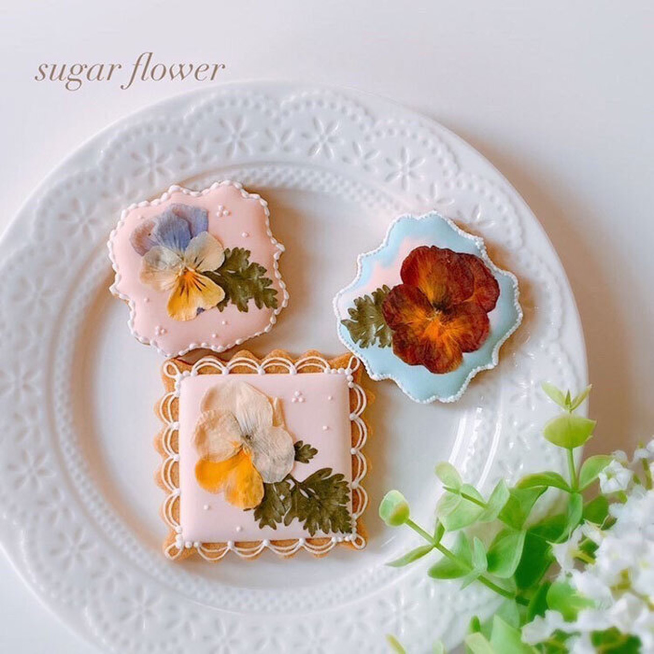 【87farm】食べられる押し花 10枚(ビオラ ひぐれももか)