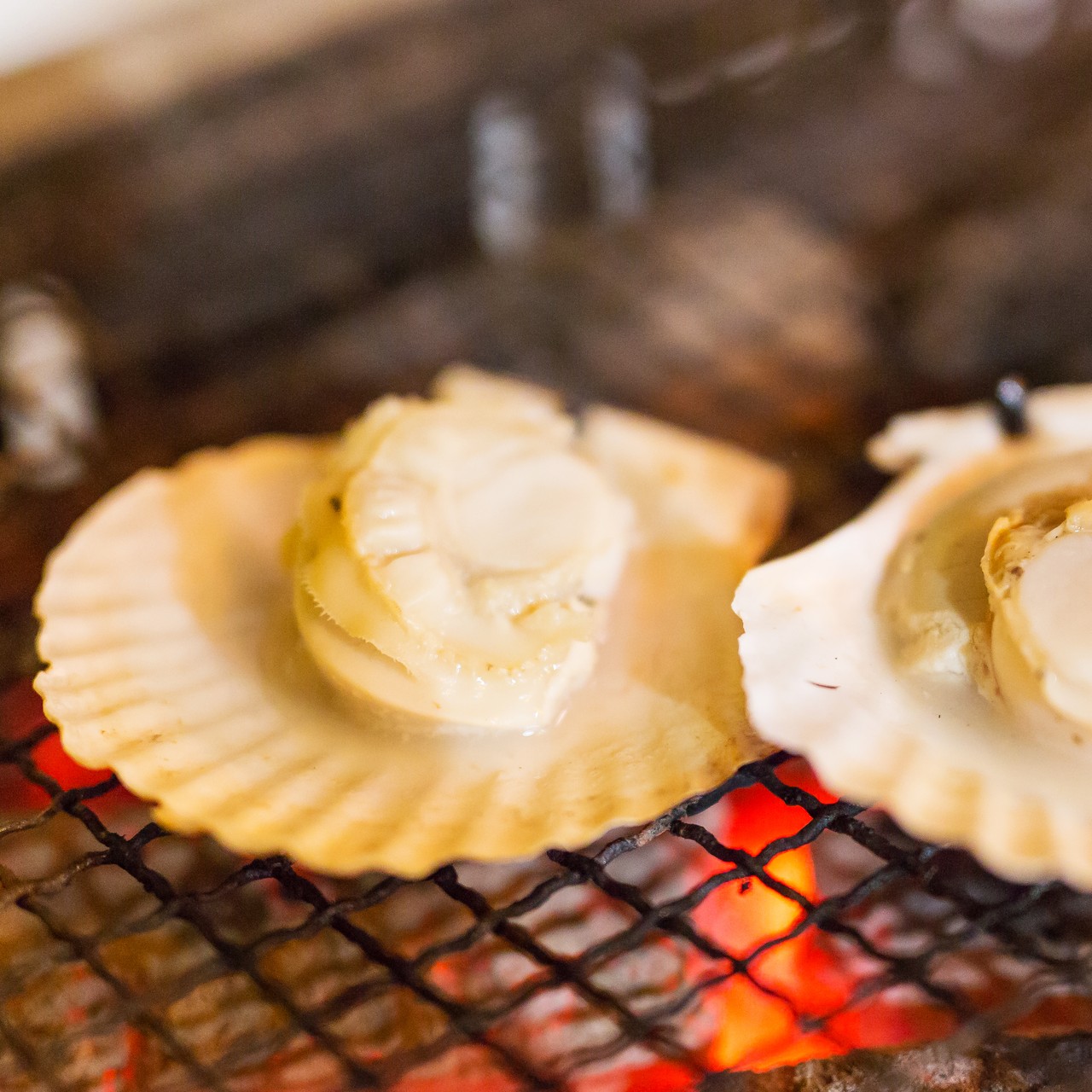 【送料無料】お刺身帆立ハーフシェル(10枚入)