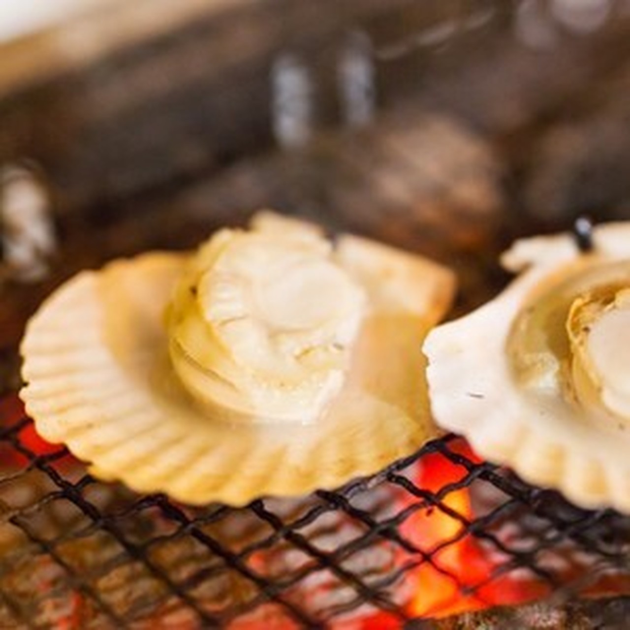 【送料無料!】海を満喫セット