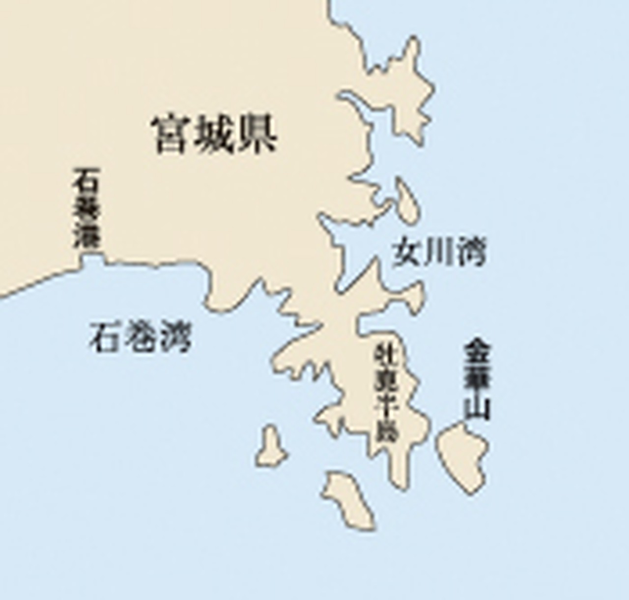 【送料無料】金華鯖フィーレ(皮付き)
