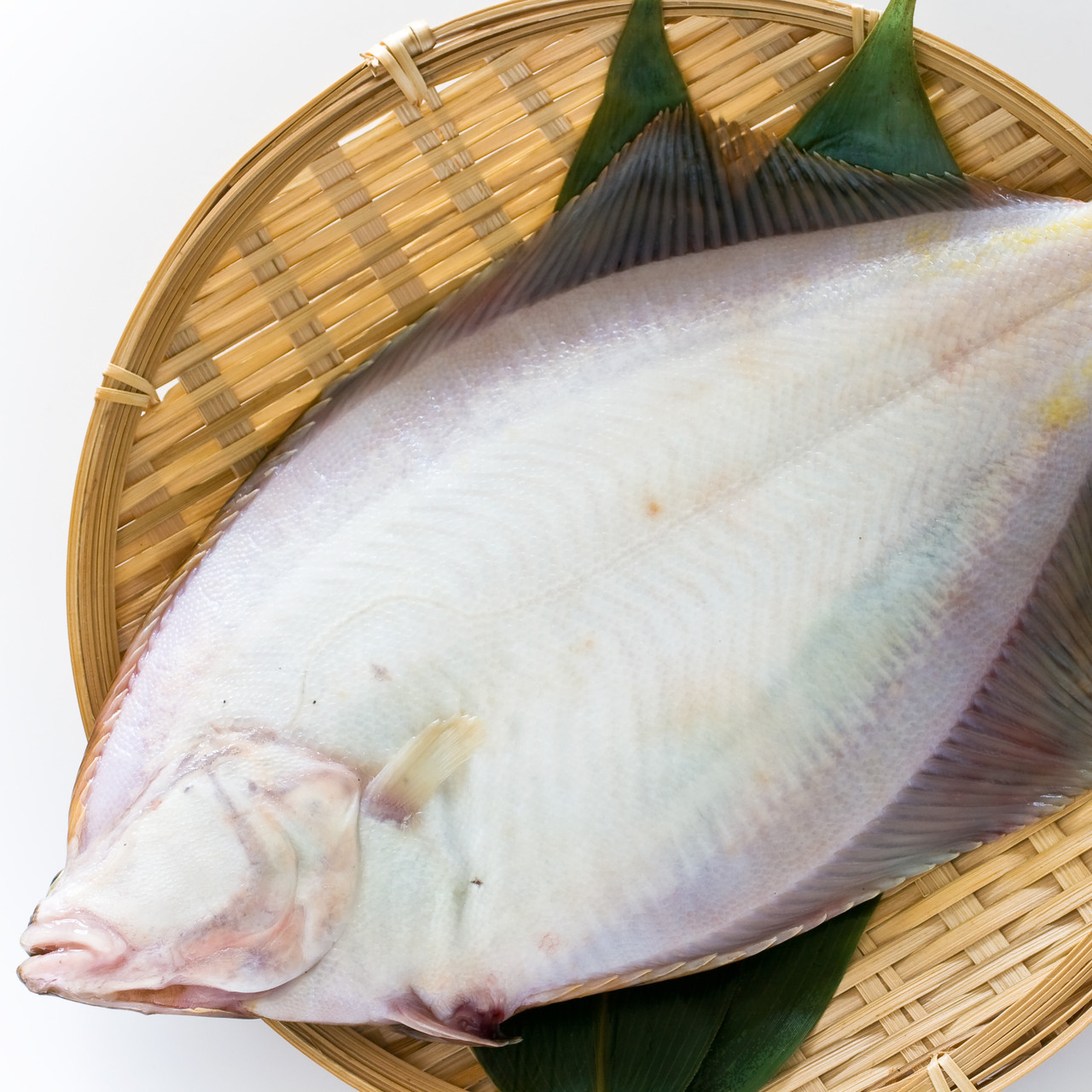 【送料無料】宮城県産 真かれい昆布〆フィーレ(皮なし)