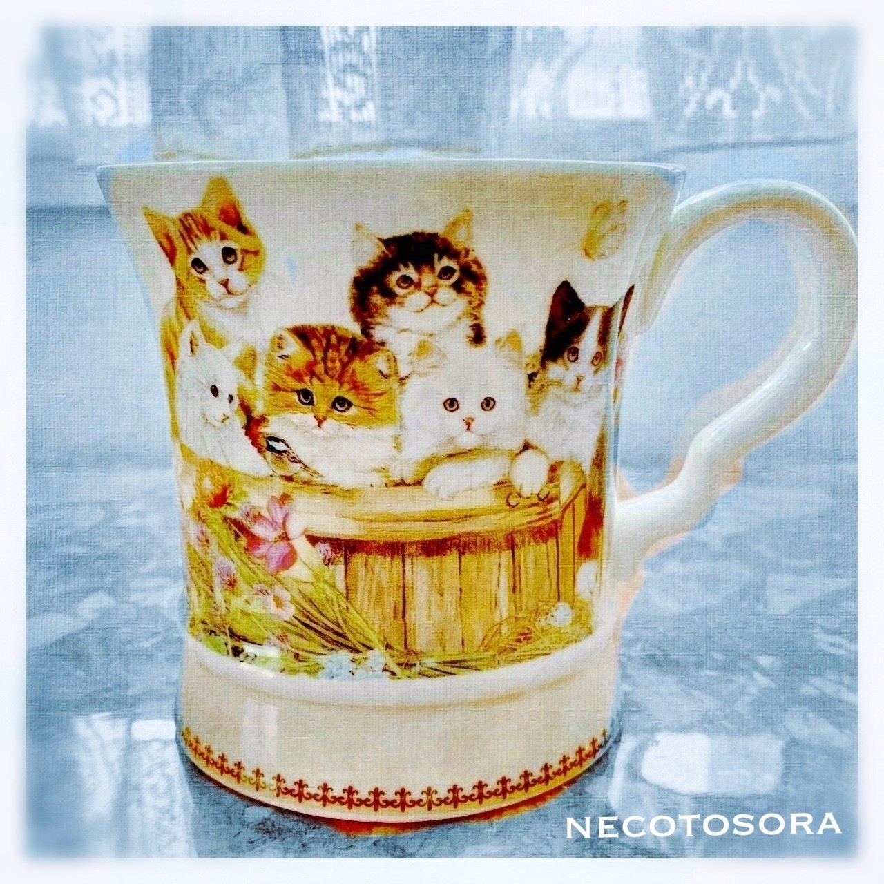 猫ギャラリー 雑貨店 猫とsora