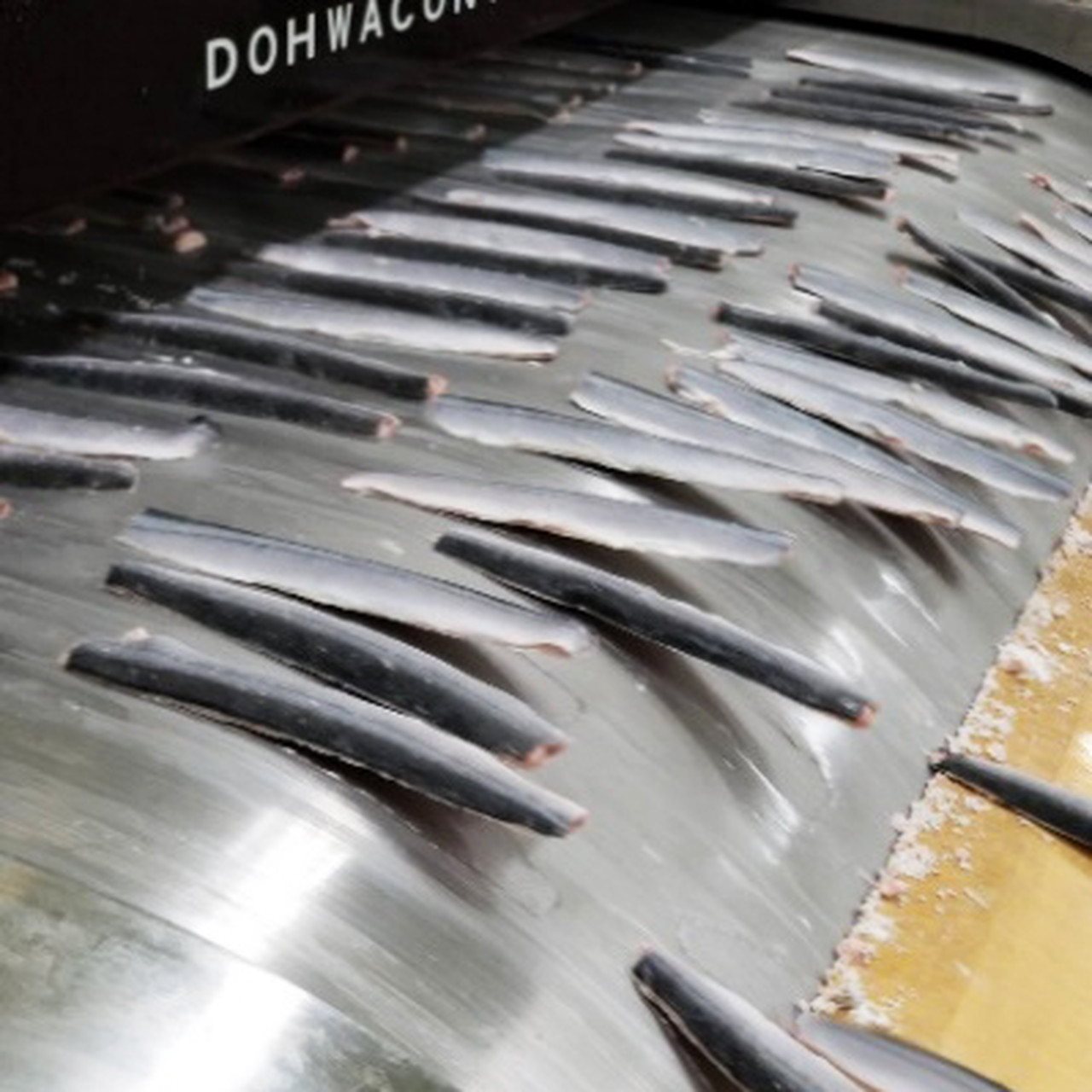 【送料無料】秋刀魚お刺身フィーレ(皮付き)