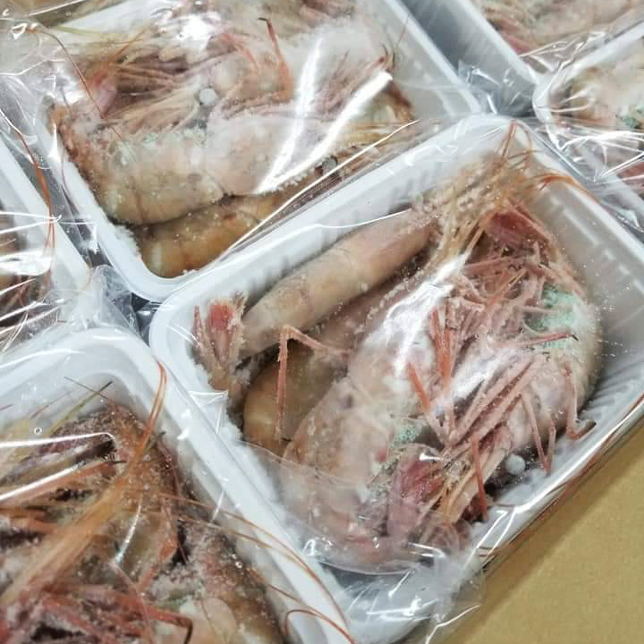 【年内送料無料】北海道噴火湾産 秋獲れぼたん海老(活詰め/プロトン凍結)