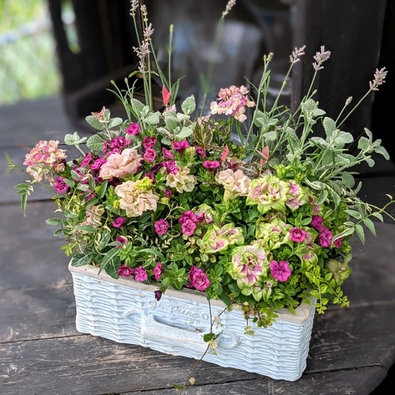 デザイン寄せ植え Fleur E フルーレ