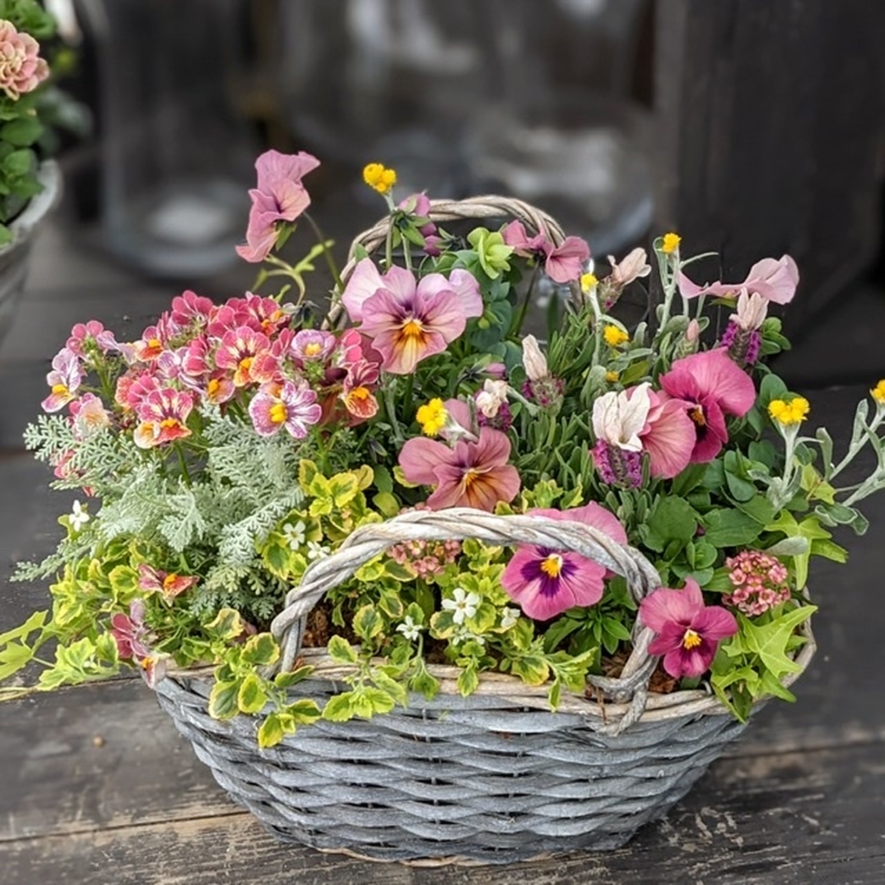 ネメシアとビオラの籠デザイン寄せ植え Fleur E フルーレ ネメシアとビオラの籠デザイン寄せ植え Fleur E フルーレ