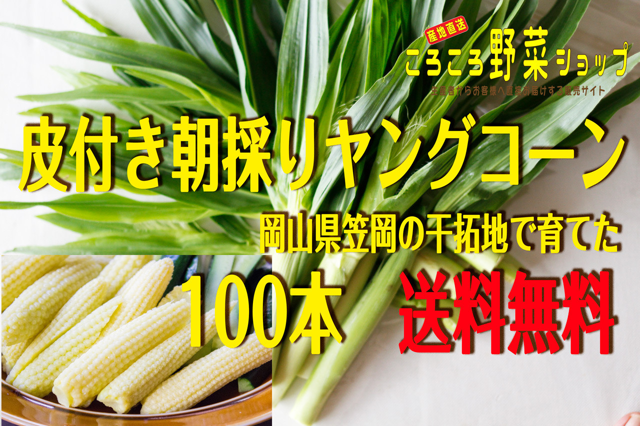 ころころ野菜ショップ