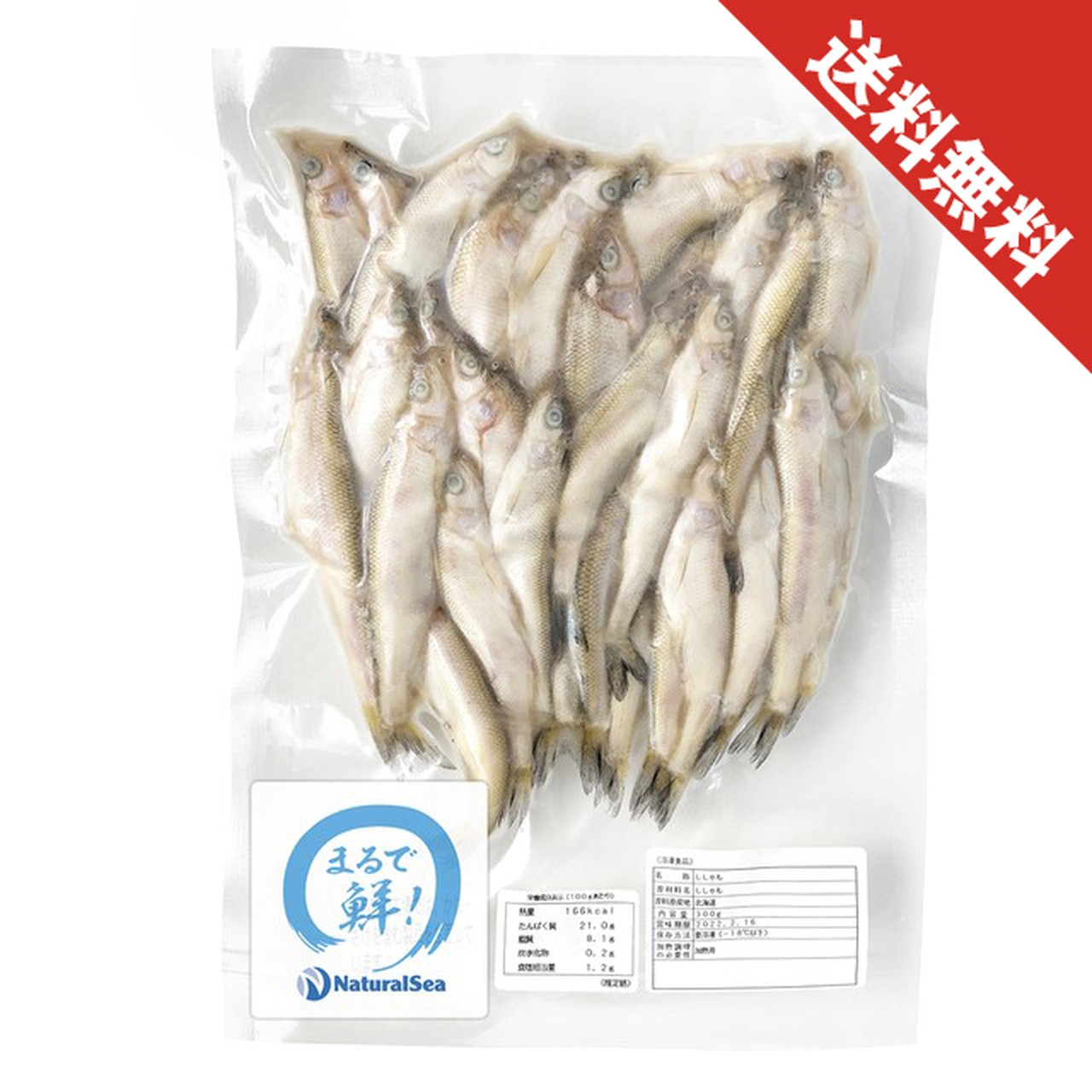 【年内送料無料】北海道日高沖 本ししゃも(生冷凍)