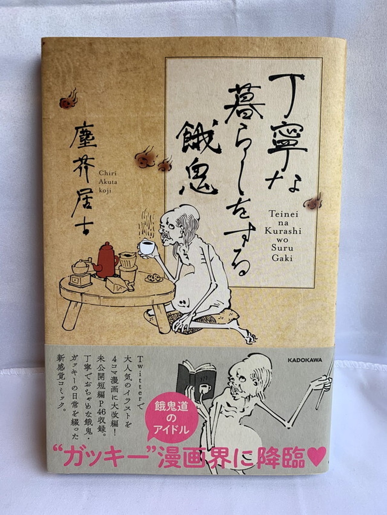 丁寧な暮らしをする餓鬼 Usedbook151e