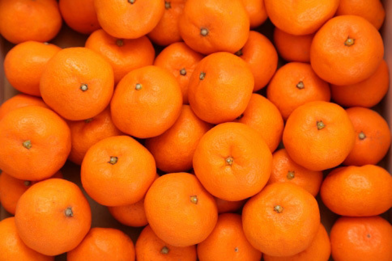 道の駅たちばな