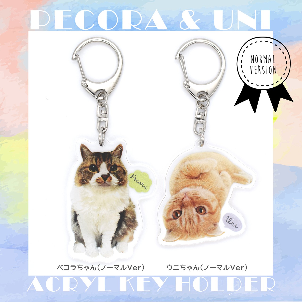 Cat Apartment Coffee Web Shop