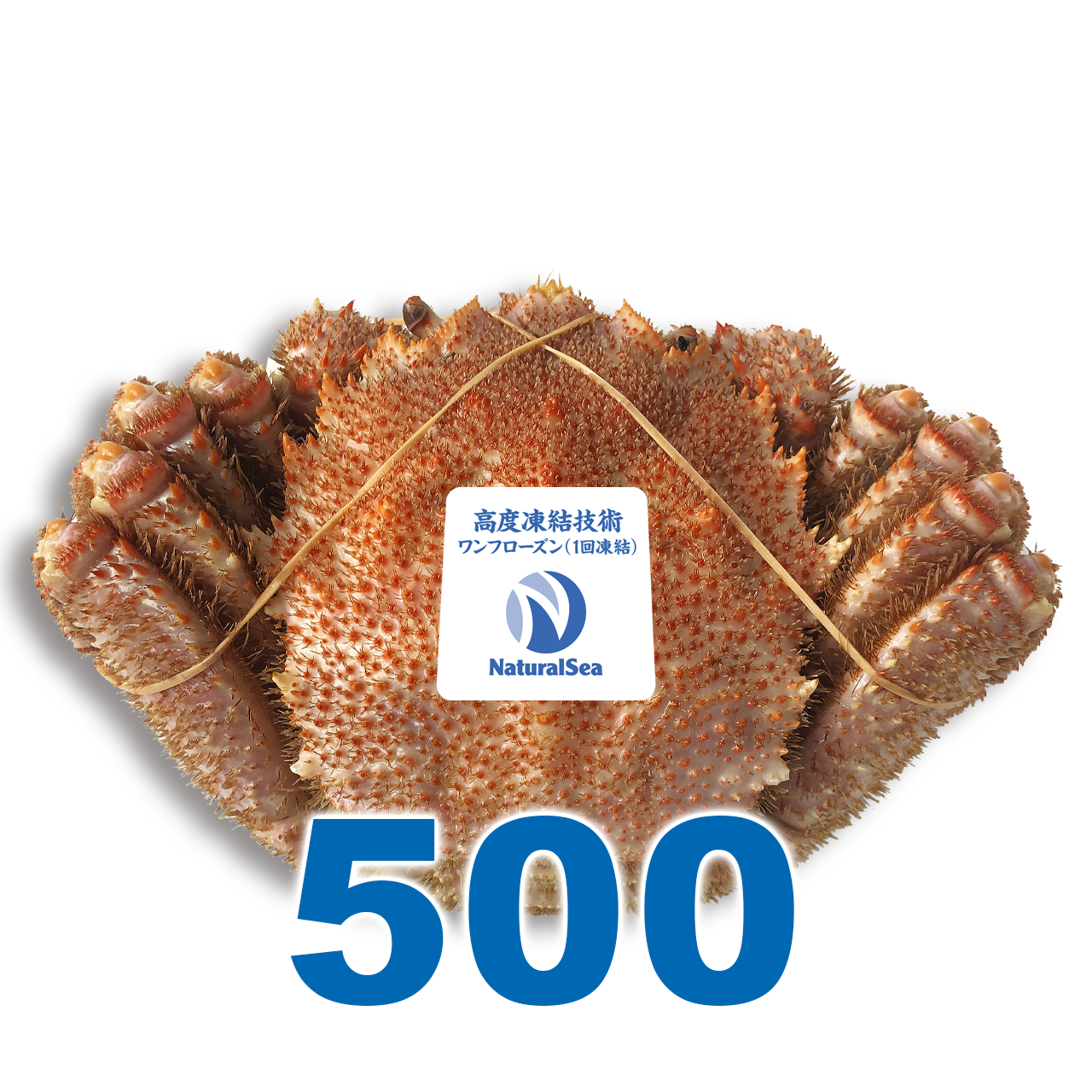 【年内送料無料】北海道噴火湾産 浜茹で毛蟹/平均500g(プロトン凍結)