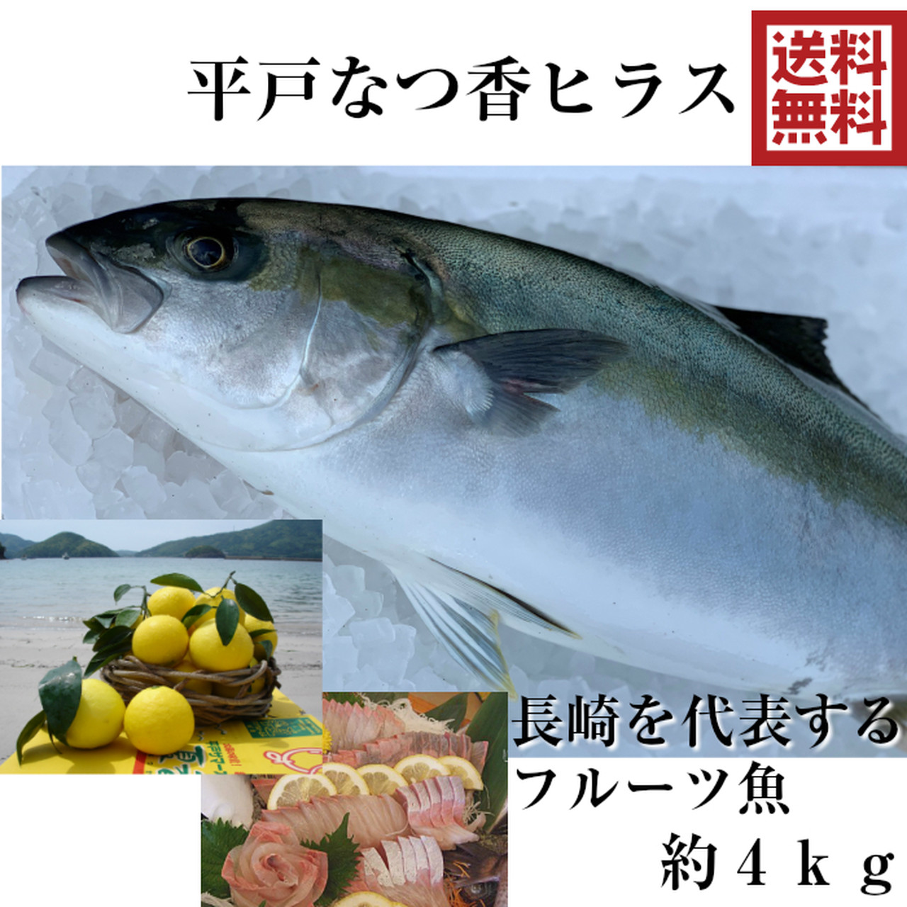 坂野水産